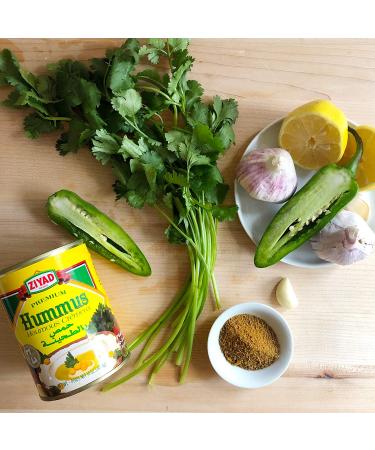 Ziyad Premium Hummus with Tahini Sauce - 14 oz No Additives No Preservatives Original Chick Pea Dip - Pack of 1 - Buy Online on GoSupps.com