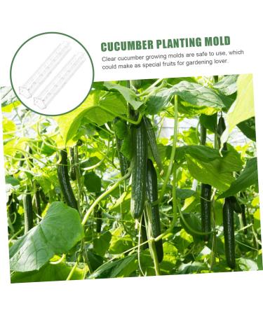 Milisten Horticulture 3pcs Vegetable Shaping Mold Strawberry Garden Tools Cucumber Molds As Shown 20x6cm - Buy Online on GoSupps.com