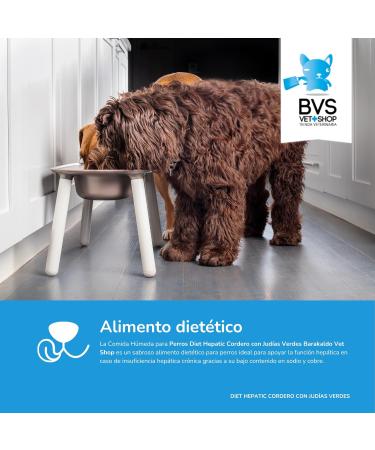 Barakaldo Vet Shop Diet Hepatic Lamb with Green Beans Wet Dog Food | 1 unit x 400 g - Buy Online on GoSupps.com