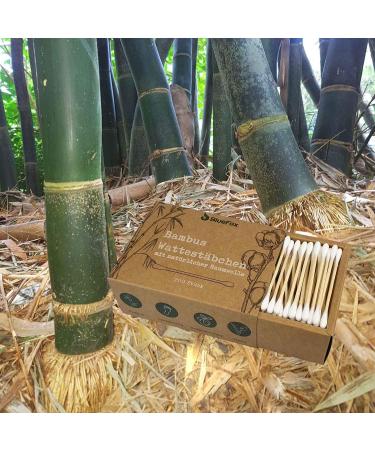 Bluefox Bamboo Cotton Swabs - 800 Biodegradable Vegan Ear Sticks | Eco-Friendly Q Tips | Sustainable Cotton Buds Plastic-Free & Compostable - Buy Online on GoSupps.com