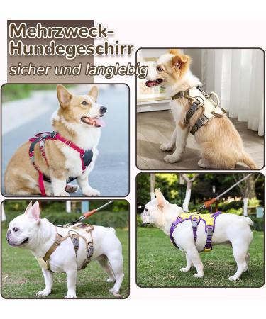 Multi-Purpose Dog Harness & Leash Set - Outbreak-Proof Anti-Train Safety Harness for Small & Medium Dogs (Pink M) - Buy Online on GoSupps.com