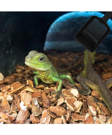 Mipcase Terrarium 2Pcs Reptile Sand Pet Supplies Excrement Cleaning Shovels Reptile Sand Shovels Shovels Portable Lizard Reptile Fogger Glass Container - Buy Online on GoSupps.com