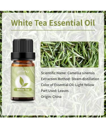 Yethious White Tea Essential Oil - Aromatherapy & Fragrance Oil for Diffusers Baths Soaps & Candles - 10ML - Buy Online on GoSupps.com