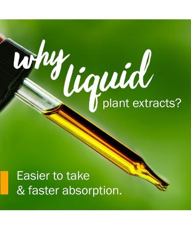 Herb Pharm St. John's Wort Liquid Extract 4 oz - Promotes Positive Mood & Emotional Balance - Cane Alcohol - Pack of 1 - Buy Online on GoSupps.com
