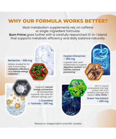 Ultra Burn Prime 1730 mg 10-in-1 with Berberine Ceylon Cinnamon L-Carnitine ALA Green Tea & Gymnema Supports Metabolism Energy & Digestive Balance 150 Capsules 150 count (pack of 1) - Buy Online on GoSupps.com