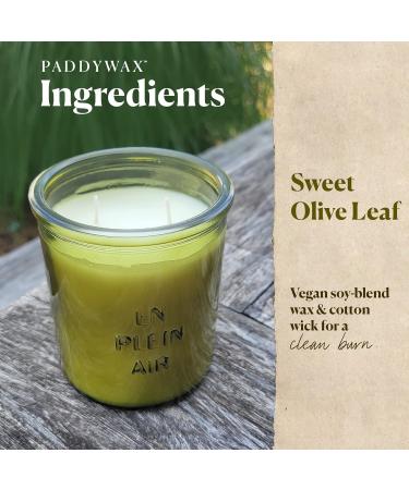 Paddywax Firefly Candle Co. En Plein Air - Sweet Olive Leaf Scented Candle 10oz Soy Wax Blend in Reusable Glass Jar for Home Fragrance & Aromatherapy - Buy Online on GoSupps.com