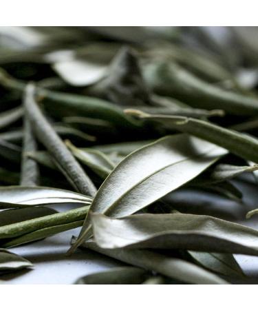 Sardis Olive Leaf Herbal Tea 50 Gram - Buy Online on GoSupps.com