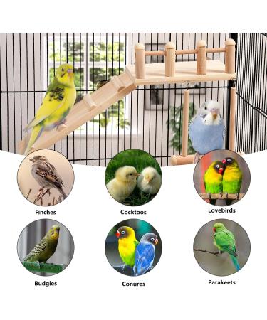 TeTupGa Hamster Bird Perches Cage Toys - Wooden Platform with Climbing Ladder and Swing - Ideal for Green Cheeks, Lovebirds, Chinchillas, and Budgies - Buy Online on GoSupps.com