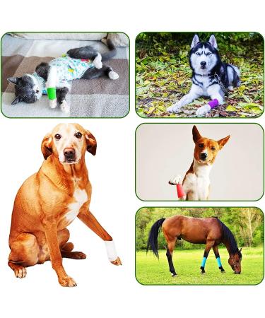 6 Rolls Self Adhesive Bandage Wrap Tape Self Adherent Vet Wrap Tattoo Grip Tape Elastic Cohesive Bandage for Athletic Sports  Finger Wrist Swelling Sprains Assorted Colors 1 Inch x5 yard - Buy Online on GoSupps.com
