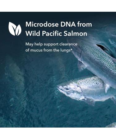 Allergy Research Group Mucolyxir Supplement - Mucus Relief & Lung Support with Wild Pacific Salmon - 0.4 Fl Oz - Buy Online on GoSupps.com