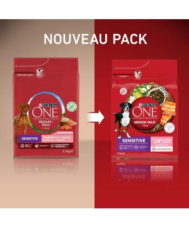 PURINA ONE Medium/Maxi 10 kg | Adults | Sensitive | Rich Salmon Dog Food | 2.5kg Bag - Buy Online on GoSupps.com