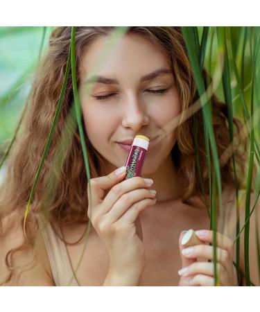 Lizard Lips USDA Certified Organic - 4 Flavor Variety Pack | Natural Lip Balm Sampler - Buy Online on GoSupps.com
