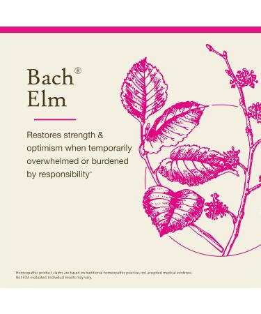 Bach Original Flower Remedies Elm - Be Efficient - Natural Homeopathic Flower Essence for Emotional Balance - Vegan Gluten Free Sugar Free - 20mL Dropper - Buy Online on GoSupps.com