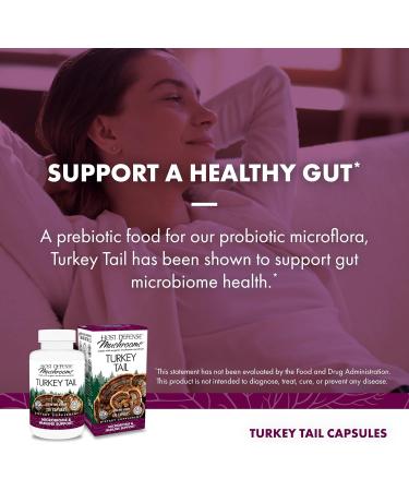 Host Defense Bundle with Turkey Tail Capsules 120 Count & Agarikon Capsules 60 Count - Support Digestive & Immune Health - Support Immune Functions & Cell Strength* - Buy Online on GoSupps.com