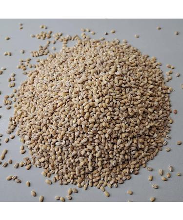 Buy Mills Barley Kernels Peeled 500g - Fresh Whole Grain Quality from R tze Mill | International Shipping Available - Buy Online on GoSupps.com