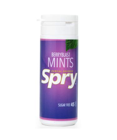Xlear Spry BerryBlast Mints 45 Count 25 g