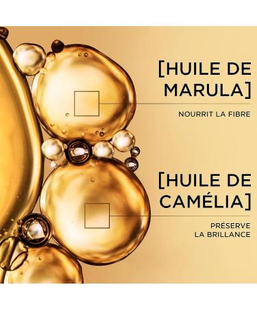 L'Or al Paris Elseve Huile Extraordinaire Nourishing Shine Shampoo Enriched with 6 Rare Flower Oils for Dry Hair Nourishes and Softens Hair Eco-pack Refill 500ml - Buy Online on GoSupps.com
