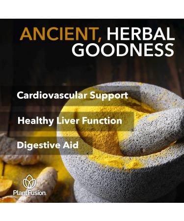 PlantFusion Turmeric and Ginger Drink Mix - Fermented Whole Food Nutrition Herbal Supplement Powder with Curcuminoids - USDA Certified Organic Non-GMO Vegan Gluten-Free 4.76 oz 30 Servings - Buy Online on GoSupps.com