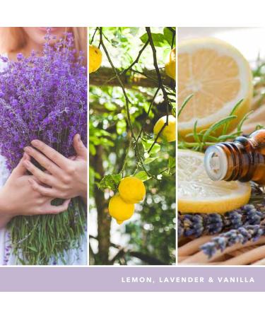 Yankee Candle Vanilla Cupcake & Lemon Lavender Bundle | 150-Hour Great Jar Fragrance Candles | International Shipping - Buy Online on GoSupps.com