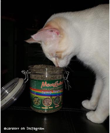 Meowijuana Organic Dried Premium Ground Catnip Bundle - High Potency - Grown in the USA for Cat Toys - Feline & Cat Lover Approved - Buy Online on GoSupps.com
