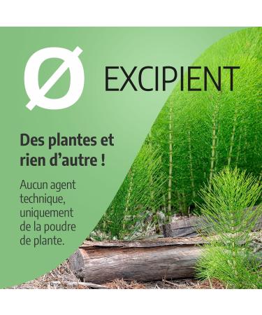 Organic Horsetail 190 mg - 200 capsules - Orgaliane - Buy Online on GoSupps.com