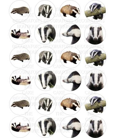 24 edible Badgers Badger British Wildlife kids childrens party decorations Iced/Icing Cupcake Topper Edible Fairy Cake Bun Toppers Round - Buy Online on GoSupps.com