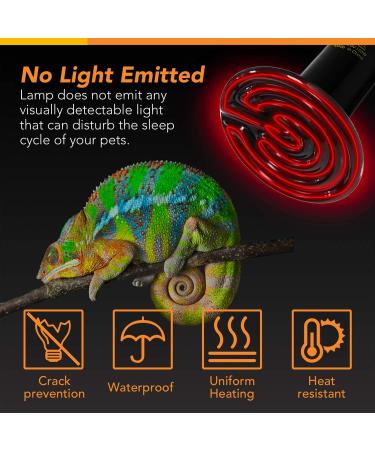 Simple Deluxe 100W Ceramic Heat Emitter Reptile Heat Lamp Bulb for Amphibian Pet & Chicken Coop, 2 Pack with Thermometer - Black & White - Buy Online on GoSupps.com