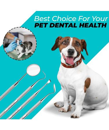 Dental Pick Set - Stainless Steel Teeth Cleaning Tools for Oral Care & Whitening - Buy Online on GoSupps.com