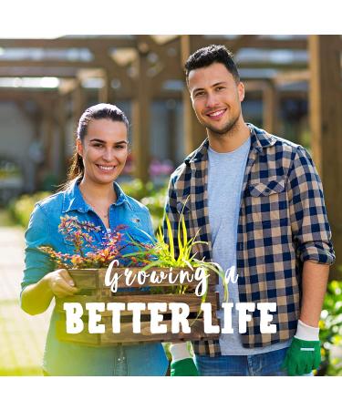 Organic Non-GMO Protein Powerhouse Sprouting Seed Mix 8 Oz - High Protein Sprouts for Food Storage - Pea, Mung, Adzuki - Buy Online on GoSupps.com