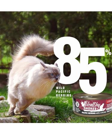 Healthy Shores Minced Herring Cat Food - Buy Online on GoSupps.com