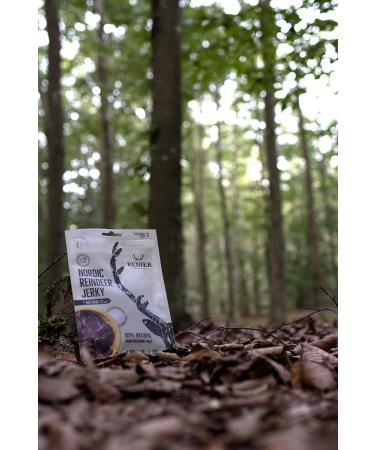  Renjer Reindeer Jerky Sea Salt 25 g 1Unit  - Buy Online on GoSupps.com
