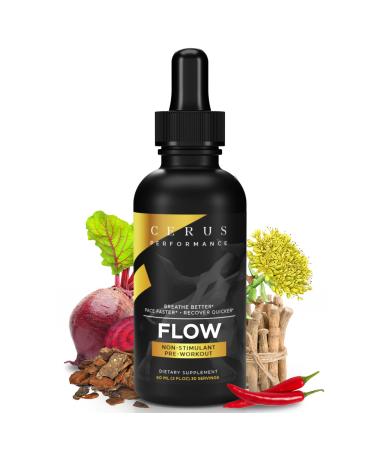 Cerus Performance Flow Stimulant-Free Endurance Pre-Workout Boosts Stamina Supports Heart Health with Natural Herbs Vegan-Friendly - 2 Fl Oz