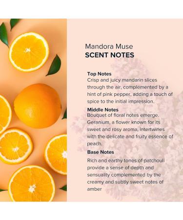 Anthology Mandora Muse Roll on Perfume Oil for Women 0.3oz 9 ML | Orange Bergamot Lilac Patchouli Amber | Alcohol Free rollerball Travel size | Warm Floral Fragrance - Buy Online on GoSupps.com