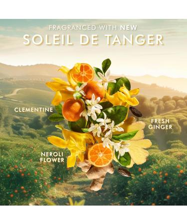 Moroccanoil Cr me pour les Mains Soleil De Tanger 100 ml (Lot de 1) - Buy Online on GoSupps.com