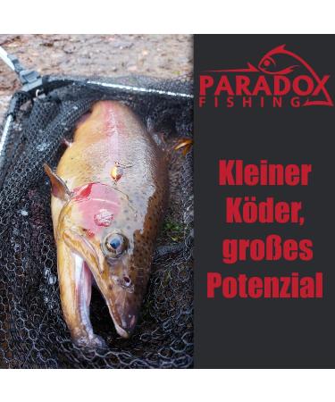 Buy Paradox Fishing Trout Spoon Sets | 1.2g/1.6g/2.0g Snaps | Best Trout Bait for International Shipping - Buy Online on GoSupps.com