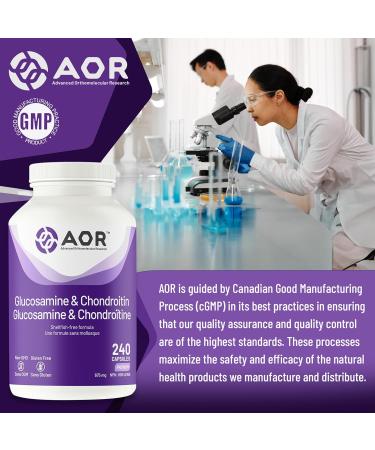 AOR Glucosamine & Chondroitin 240 Capsules - Shellfish-Free Glucosamine Sulfate & Chondroitin Sulfate - Supports Joint Comfort and Mobility - Encourages Cartilage Health for Active Lifestyles - Buy Online on GoSupps.com