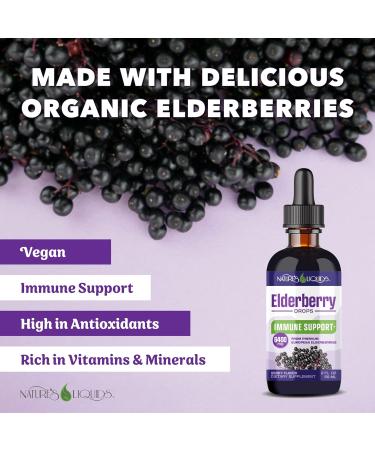 Nature's Liquids Organic Elderberry Syrup Sugar Free | Immune Support for Kids and Adults | 1 Serving Equals 60 Elderberries (2 Fl Oz) - Buy Online on GoSupps.com