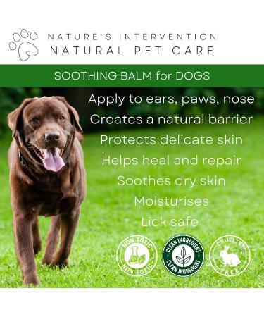 NATURE'S INTERVENTION 100% Natural SOOTHING BALM Dogs - Calendula & Lavender - 50 g by NIP. Moisturizes Soothes Relieves Itching. Beneficial for Dry and Sensitive Skin. - Buy Online on GoSupps.com