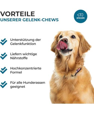 Anicare Premium Joint Care Chews for Dogs | Glucosamine Chondroitin MSM & Green Lipped Mussel - Top Choice for Joint Health - Buy Online on GoSupps.com