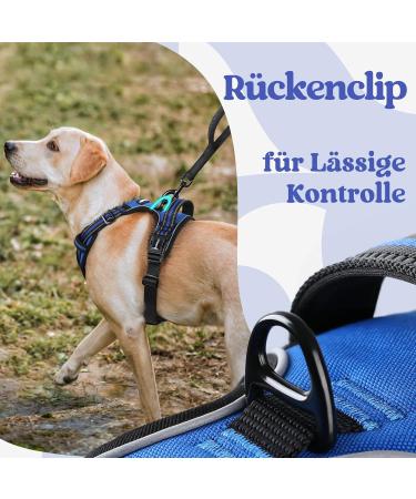 Rabbitgoo Dog Harness for Small Dogs - Adjustable Anti-Pull No Choke Soft Padded Reflective Chest Harness - Blue (1 Pack) - Buy Online on GoSupps.com
