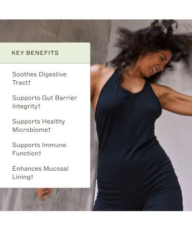 Dr. Amy Myers Leaky Gut Revive Powder - L Glutamine Supplement for Gut Repair & Health | Reduce Constipation, IBS, Bloating | Plant-Based Formula - Buy Online on GoSupps.com