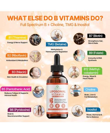Liposomal Vitamin B Complex B Complex Liquid for Superior Absorption with B1 B2 B3 B5 B6 B7 B9 & Methylated B12 Liquid B Complex for Energy Focus Brain & Heart Health Vegan Non-GMO 2 fl oz - Buy Online on GoSupps.com