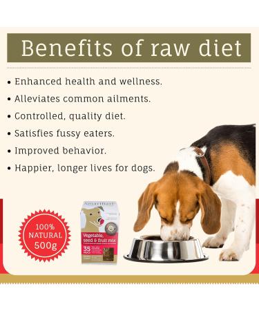SmartBarf - Dog Food Toppers (500g) with Essential Nutrients - Vegetable Seed & Fruit Mix - Prebiotics for Dogs Dog Gut Health Supplement Raw Food Mix Rich in Minerals & Vitamins (Pack of 1) 500 g (Pack of 1) - Buy Online on GoSupps.com