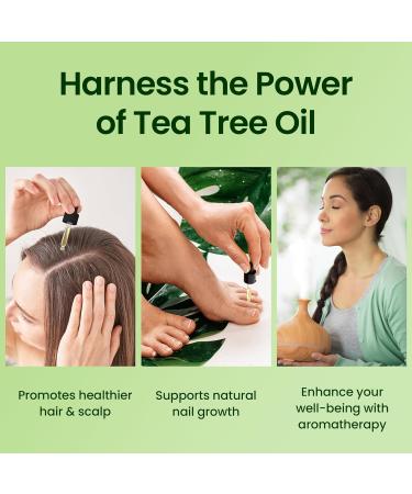 Honeyskin 100% Pure Tea Tree Oil - Hair Growth & Scalp Treatment Essential Oil for Face Hair Skin - 1 fl. oz (29ml) - Aromatherapy Diffuser - Buy Online on GoSupps.com