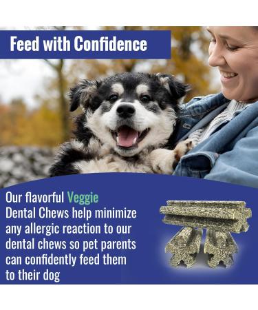 bluestem Veggie Dental Chews for Dogs - Dental Care Dog Treats for Small Breed - Wheat & Soy Free 30 Small Dog Chews - Dog Breath Freshener Treats 1 count (Pack of 1) - Buy Online on GoSupps.com