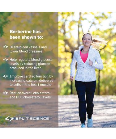 Split Science Berberine 500 mg per capsule | Pack of 2 180 Easy to Swallow Capsules | Non-GMO Gluten-Free Vegan | Suppports Cardiovascular Health & Glucose Metabolism - Buy Online on GoSupps.com