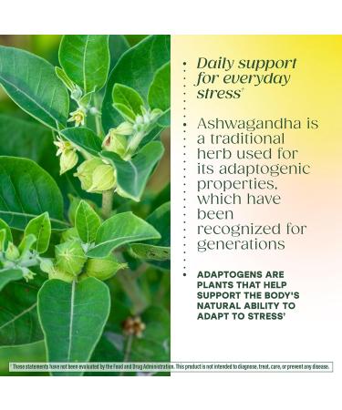 MegaFood Ashwagandha Complex (Formerly Stress Protect) - Ashwagandha Supplements Astragalus Root & Holy Basil - Vegetarian Gluten Free Cortisol Supplement - 60 Mini Tablets 30 Servings - Buy Online on GoSupps.com