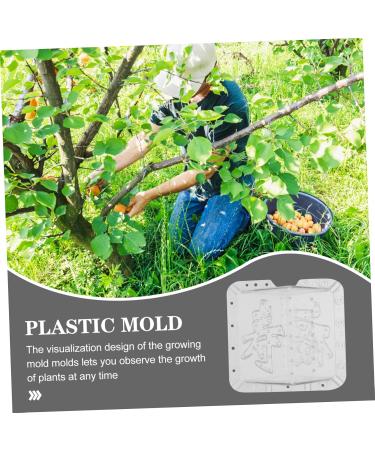 BESPORTBLE 2pcs Square Apple Molds Fruit Planting Molds Vegetable Stereotypes Plastic Mould Cover 1 - Buy Online on GoSupps.com