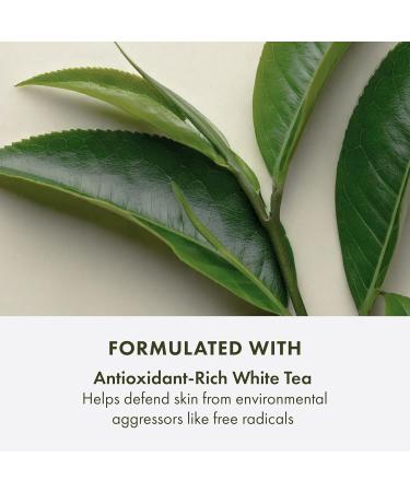 Origins Perfect World SPF 40 Age-Defense Moisturizer 1.7 Fl Oz - White Tea 1.70 Fl Oz - Buy Online on GoSupps.com