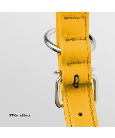 Collardirect Round Leather Dog Collar - Handmade Softly Padded Adjustable for Dogs & Cats (48-53 cm) - Available in Black Pink Red Purple Blue Yellow - Buy Online on GoSupps.com